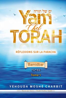 Couv 20362 2c8x245 20 20yct 20 20bamidbar 20 20tome1 20 20sable 20du 20desert copie